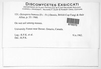 Image Associated With the Occurence